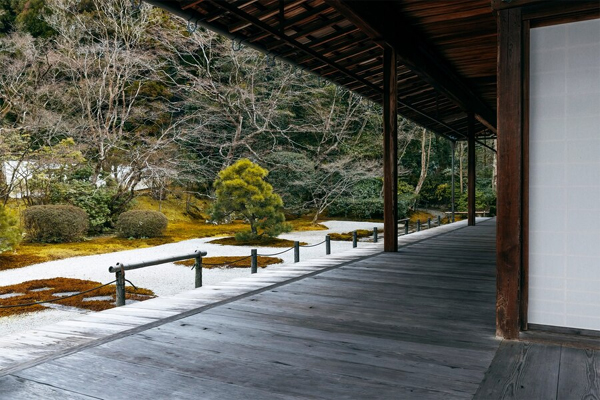 Bamboo Exterior Decking
